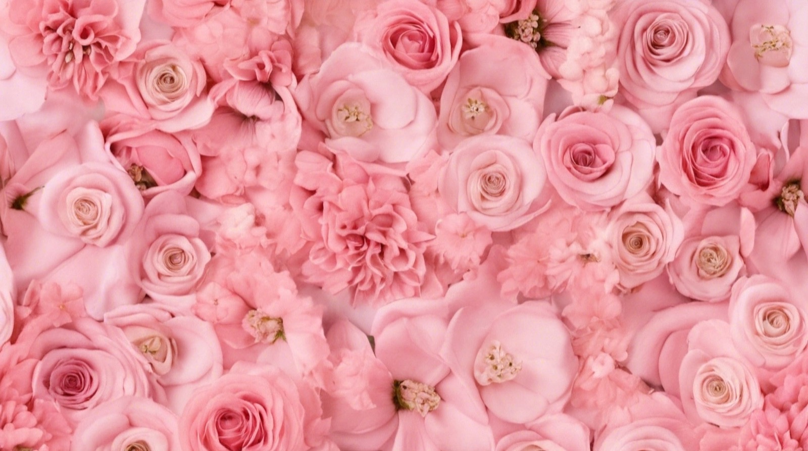 Pink floral wall inside the tattoo studio